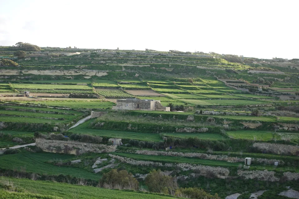 photo 2 of 12 from 5 february 2025, victoria, gozo and comino
