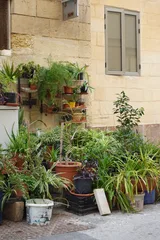 photo 10 of 12 from 5 february 2025, victoria, gozo and comino