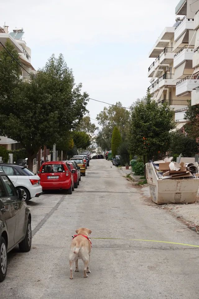 photo 15 of 15 from 24 february 2025, athens, greece