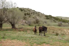 photo 2 of 19 from 30 march 2025, kato zachlorou, western greece