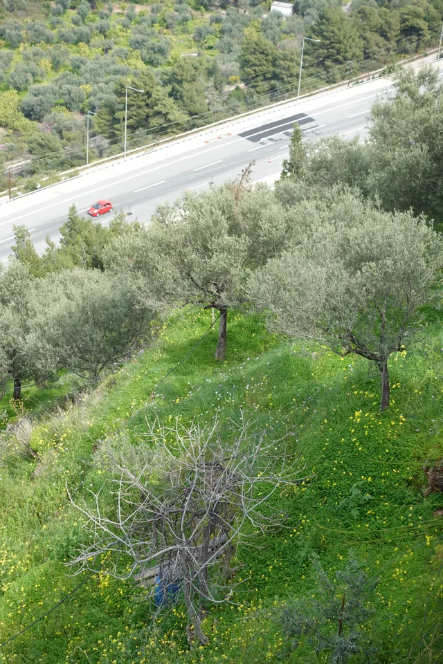 photo 9 of 19 from 30 march 2025, kato zachlorou, western greece