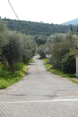 photo 10 of 19 from 30 march 2025, kato zachlorou, western greece