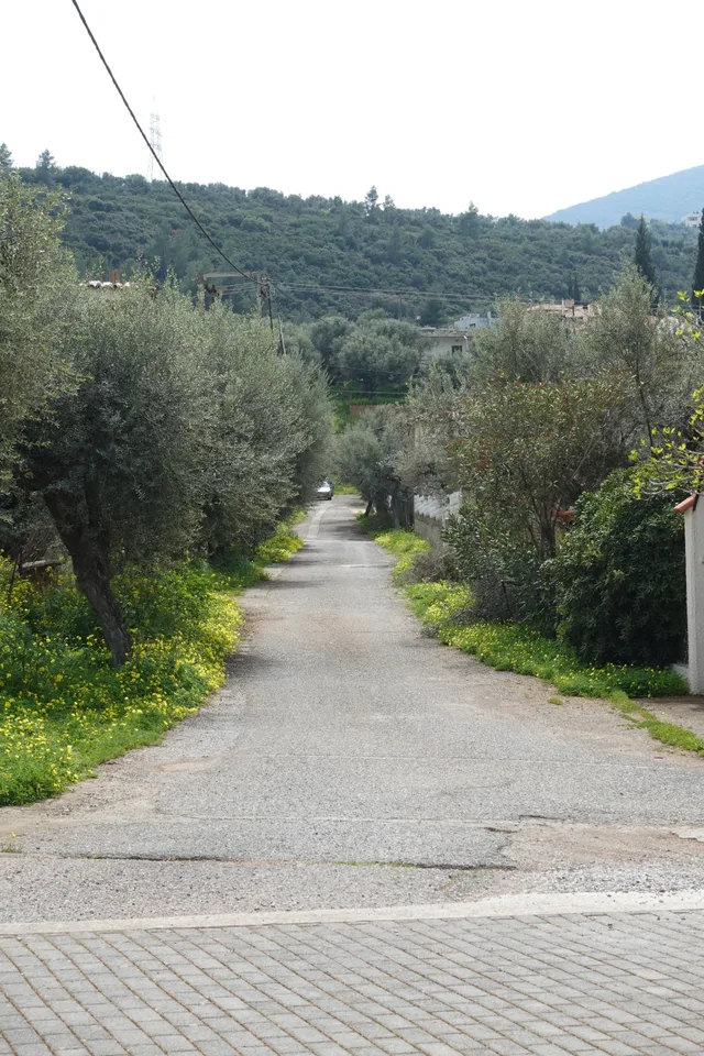 photo 10 of 19 from 30 march 2025, kato zachlorou, western greece