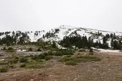 photo 12 of 19 from 30 march 2025, kato zachlorou, western greece