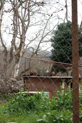 photo 14 of 19 from 30 march 2025, kato zachlorou, western greece