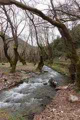 photo 17 of 19 from 30 march 2025, kato zachlorou, western greece