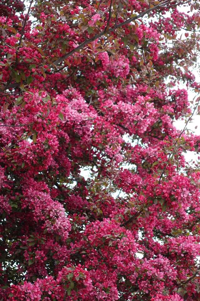 photo 7 of 19 from 20 may 2025, porta ticinese-vigentino-gratosoglio, milan