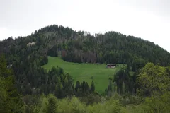 photo 11 of 19 from 20 may 2025, porta ticinese-vigentino-gratosoglio, milan