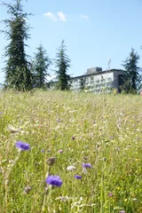 photo 15 of 19 from 20 may 2025, porta ticinese-vigentino-gratosoglio, milan