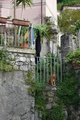 photo 2 of 16 from 6 may 2025, largo santa maria maggiore, maratea