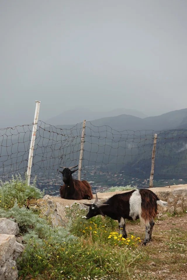 photo 15 of 16 from 6 may 2025, largo santa maria maggiore, maratea