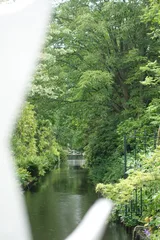 photo 5 of 16 from 15 june 2025, kralingen oost, rotterdam