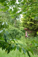 photo 9 of 16 from 15 june 2025, kralingen oost, rotterdam