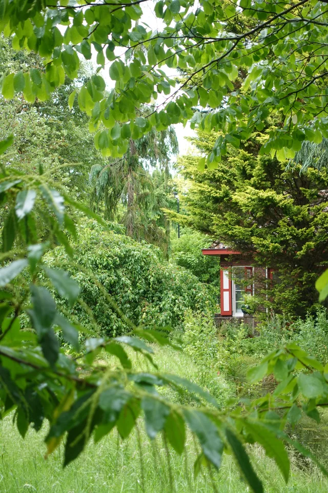 photo 9 of 16 from 15 june 2025, kralingen oost, rotterdam