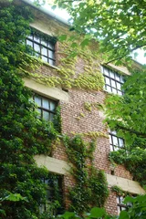 photo 1 of 10 from 22 june 2025, altstadt, weimar