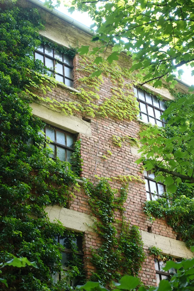 photo 1 of 10 from 22 june 2025, altstadt, weimar