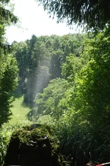photo 4 of 10 from 22 june 2025, altstadt, weimar
