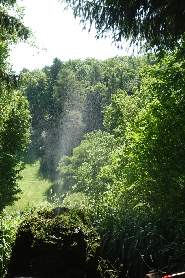 photo 4 of 10 from 22 june 2025, altstadt, weimar