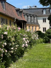 photo 9 of 10 from 22 june 2025, altstadt, weimar