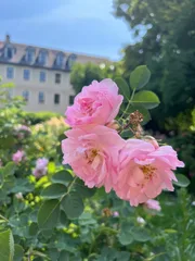 photo 10 of 10 from 22 june 2025, altstadt, weimar