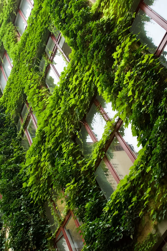 photo 5 of 19 from 2 august 2025, neukölln, berlin