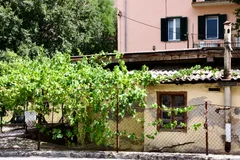 photo 12 of 16 from 14 july 2025, trstenik, split