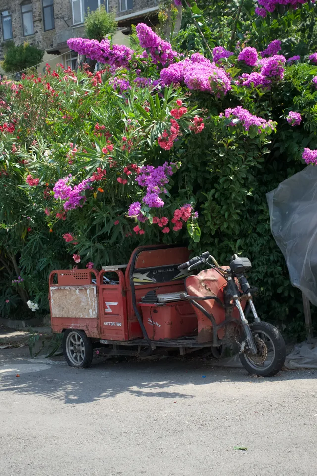 photo 2 of 18 from 1 august 2025, burgazada, adalar
