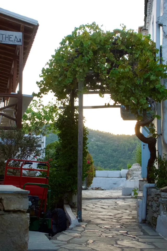 photo 6 of 16 from 22 august 2025, alonnisos, thessaly