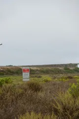 photo 6 of 7 from 27 october 2025, torrey pines, san diego