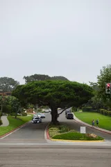 photo 7 of 7 from 27 october 2025, torrey pines, san diego