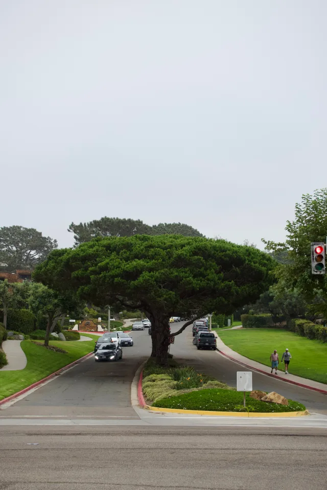 photo 7 of 7 from 27 october 2025, torrey pines, san diego