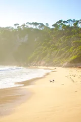 photo 1 of 12 from 24 december 2025, merimbula