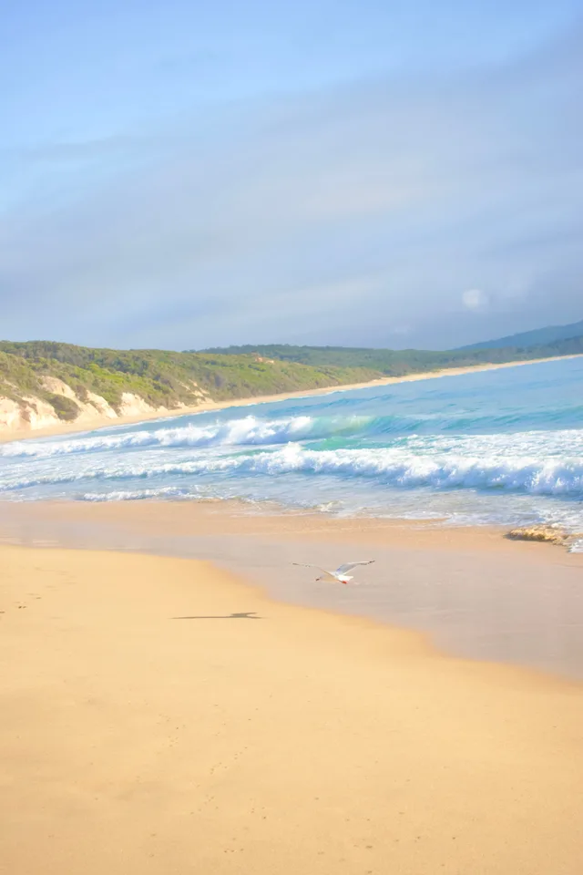 photo 2 of 12 from 24 december 2025, merimbula