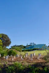 photo 4 of 12 from 24 december 2025, merimbula