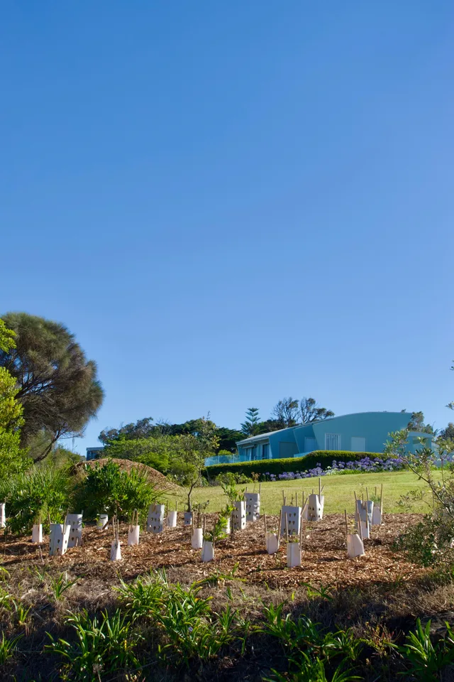 photo 4 of 12 from 24 december 2025, merimbula