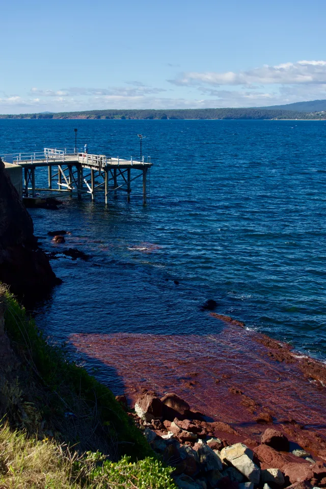 photo 10 of 12 from 24 december 2025, merimbula