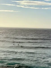 photo 1 of 4 from 5 may 2026, bronte, sydney