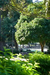 photo 1 of 7 from 19 may 2026, rushcutters bay, sydney