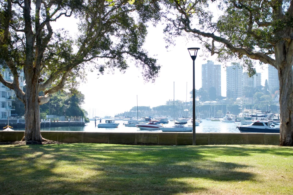 photo 4 of 7 from 19 may 2026, rushcutters bay, sydney
