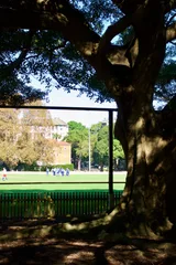 photo 5 of 7 from 19 may 2026, rushcutters bay, sydney