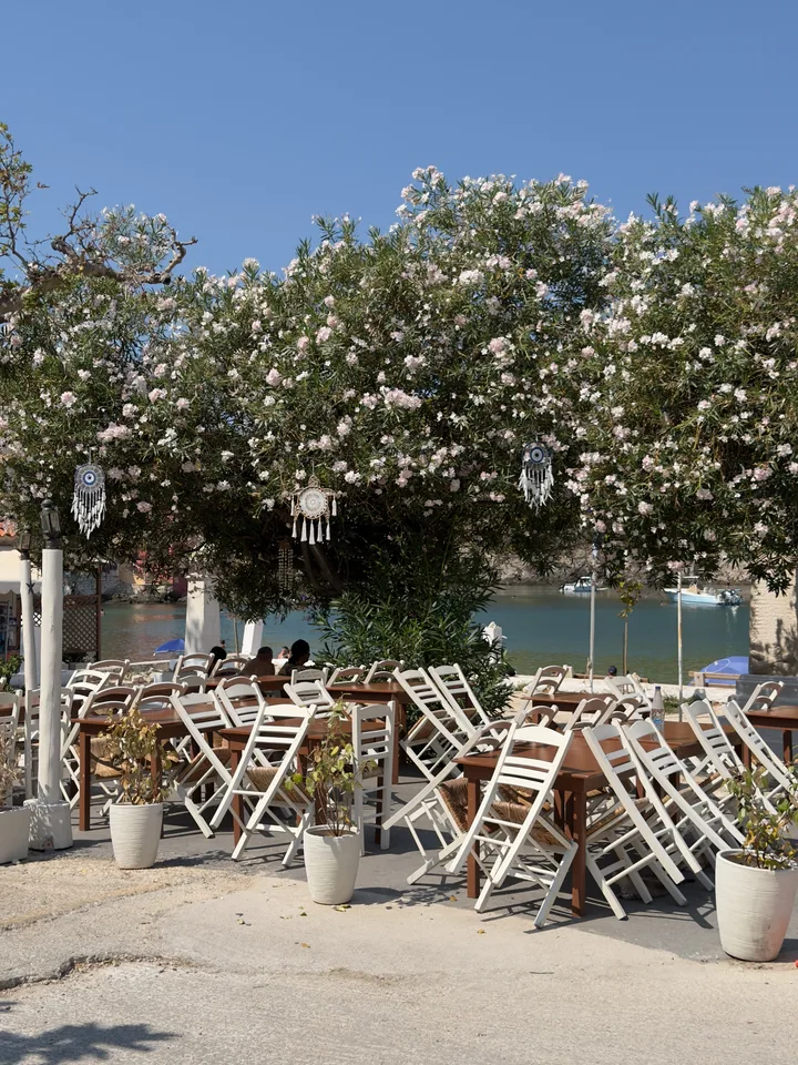 photo 10 of 17 from 26 september 2026, divarata, ionian islands